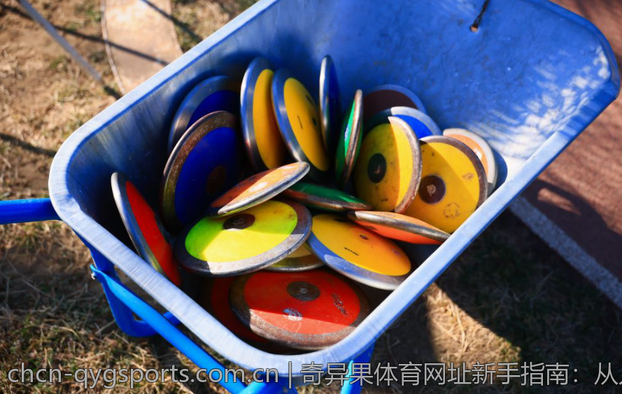 奇异果体育网址新手指南：从入门到精通